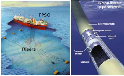 Flexible Riser and Structure